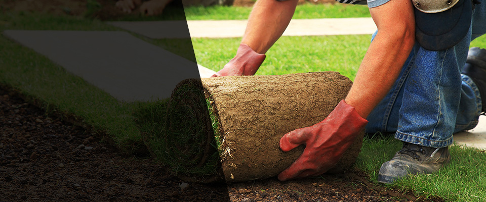 Greenbelt Landscapers